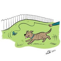 Illustration of a brindle dog chasing a flirt pole lure in a grassy fenced yard.