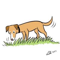 foraging
