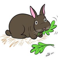 Illustration of a brown rabbit eating a leaf
